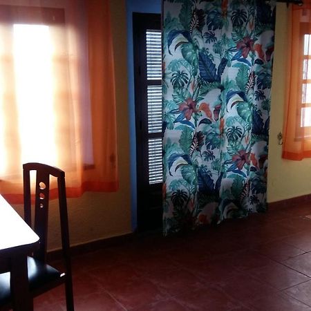 Sunshine Apartment At Tropical Coast Of Granada Almunecar Exterior foto